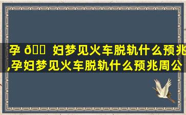 孕 🐠 妇梦见火车脱轨什么预兆,孕妇梦见火车脱轨什么预兆周公解梦